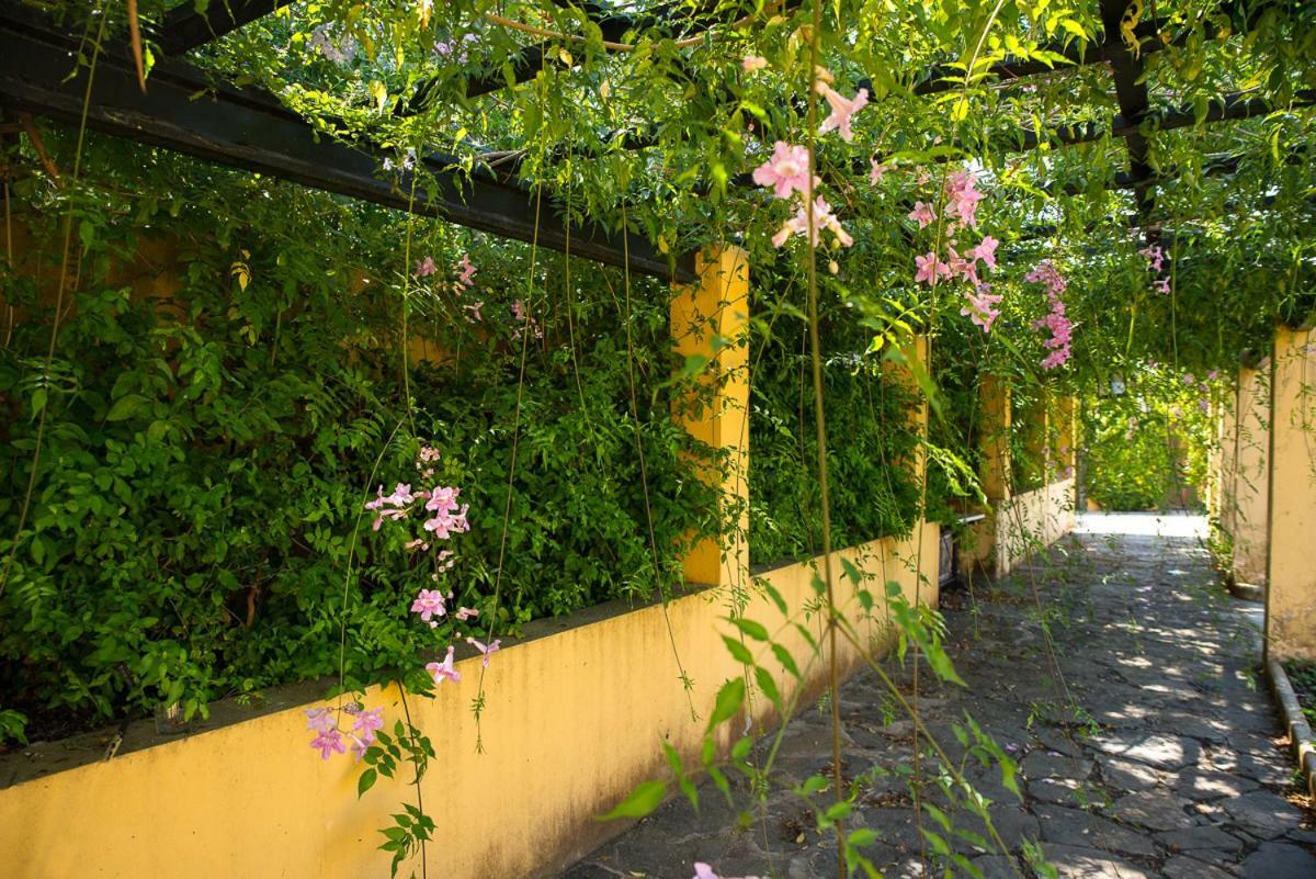 Bellasombra Suites Лас-Пальмас-де-Гран-Канарія Екстер'єр фото